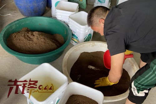重拳出擊水產(chǎn)投入品 請避開這些藥品 飼料添加劑的法律 雷區(qū) 福建行動了