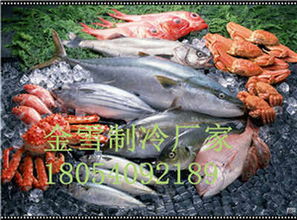 肥東肉類冷庫設備如何進行有效管理