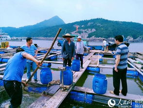 福建省持續(xù)開展水產(chǎn)品檢測(cè) 確保水產(chǎn)品質(zhì)量安全
