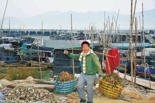 寧德蕉城接力扶貧 讓連家船民過上好日子