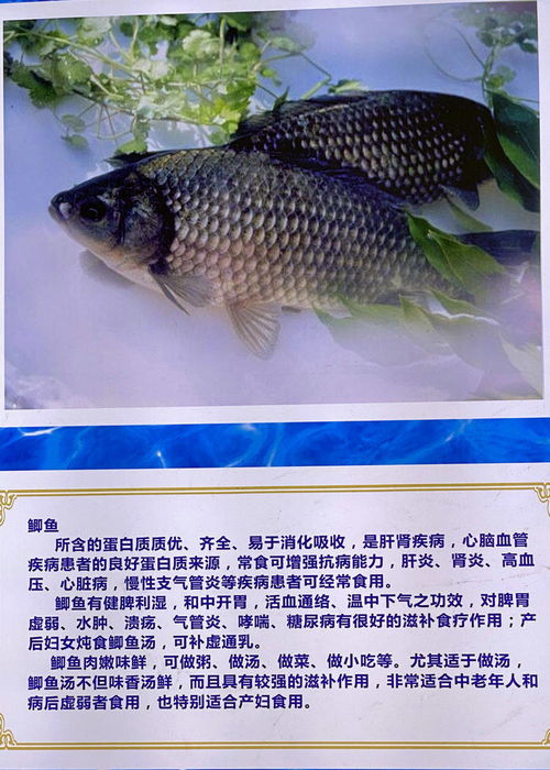 大荔有個 黃河水產館 ,為全省面積最大基地