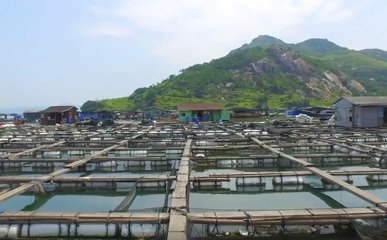 粵海飼料國內特種水產飼料領軍者!打造現代養殖差異化競爭優勢和水產飼料全能型企業!市場需求前景廣闊!
